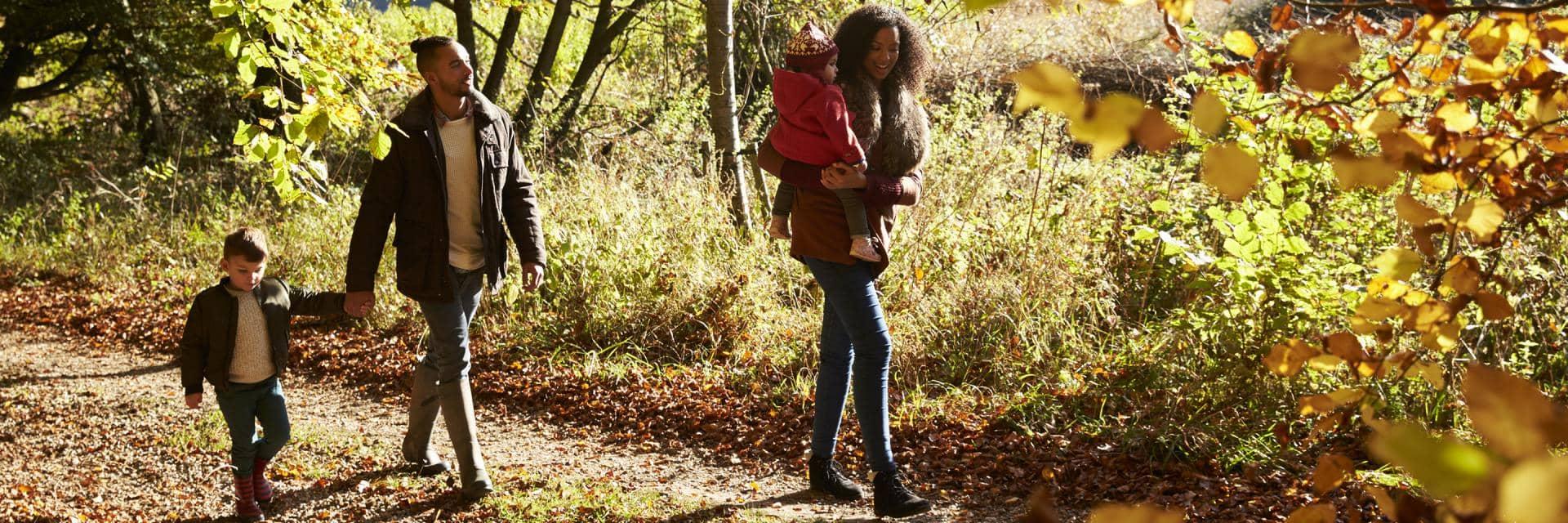  A family with young children take a walk in the woods in autumn
