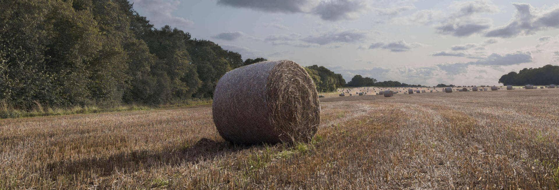 A field surrounded with trees, clouds in the sky and a bale of hay sitting in the centre.