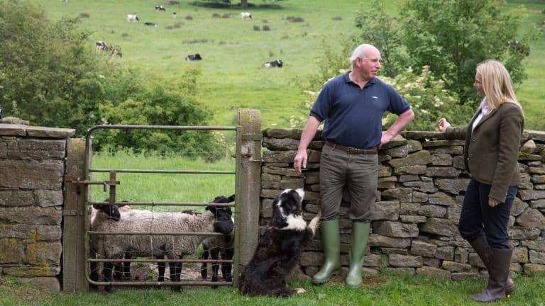 A man and a woman chat in front of a dry stone wall with a sheepdog at their feet and lambs in the field behind them