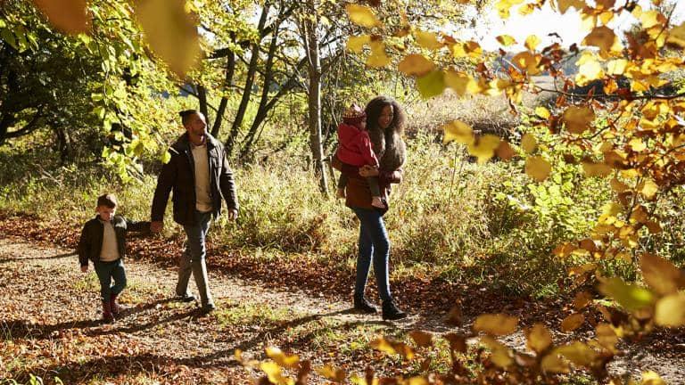  A family with young children take a walk in the woods in autumn
