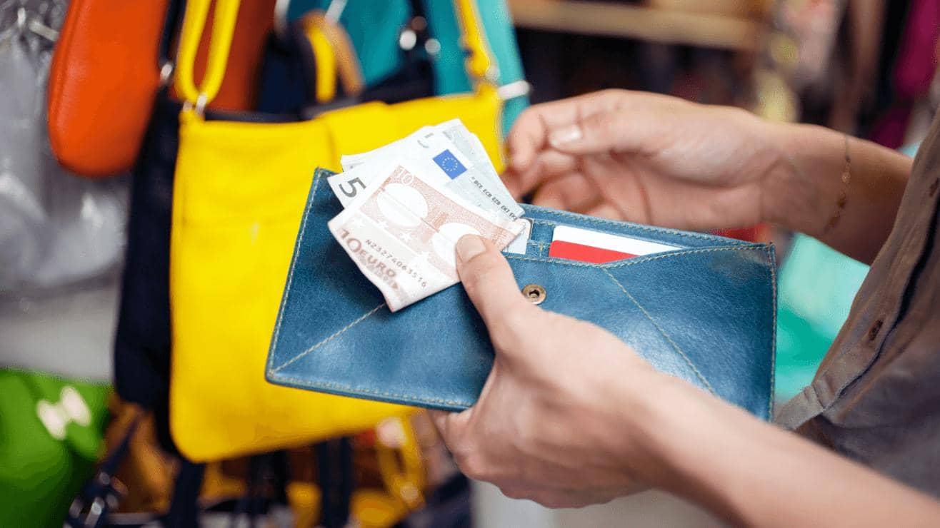 Hands holding open a blue leather purse with cards and Euro notes displayed
